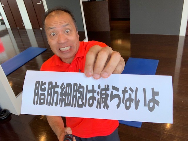 痩せても脂肪細胞の数は減らないんです(＠_＠;)