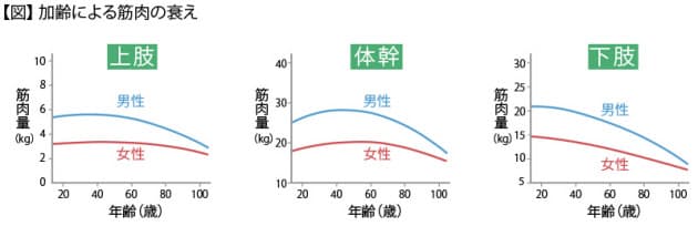 年齢による筋力の低下