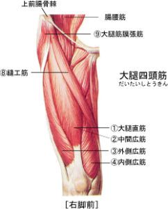 老化は下半身から