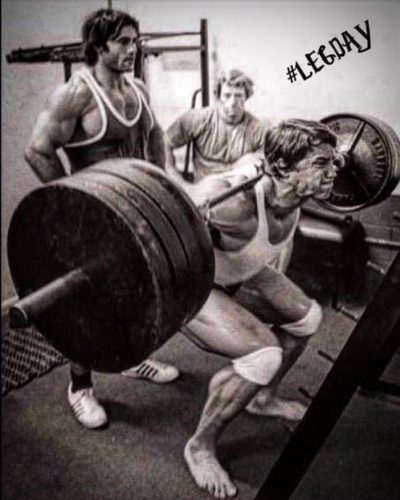 シュワルツネッガースクワット