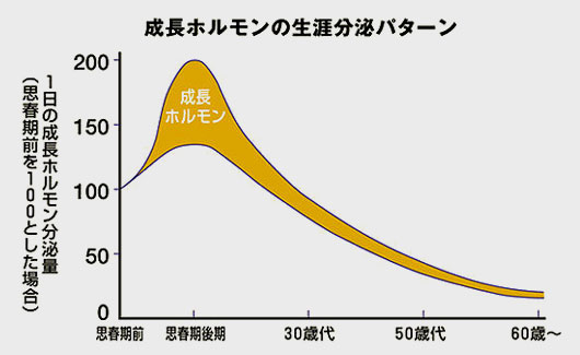 成長ホルモン