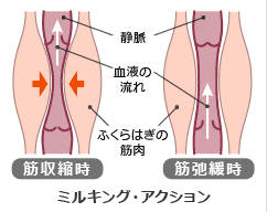 ミルキングアクション