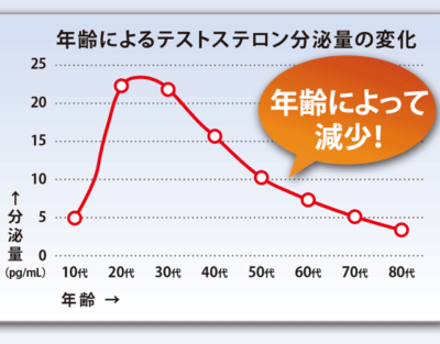 年齢別テストステロンの分泌量