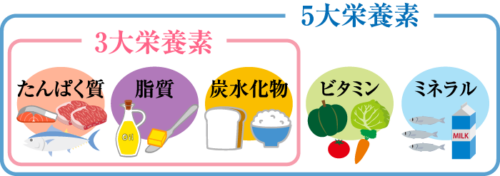 ５大栄養素