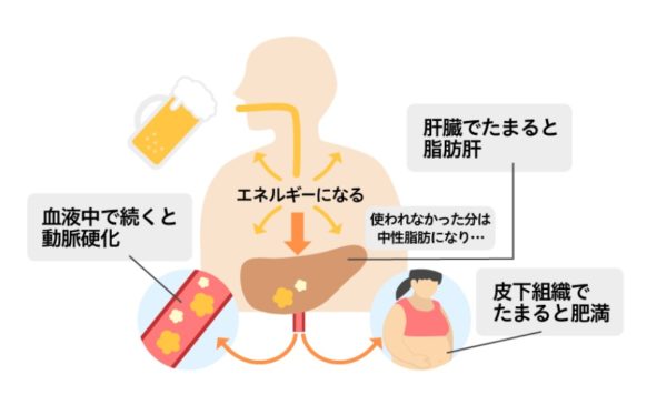 アルコールが中性脂肪になる