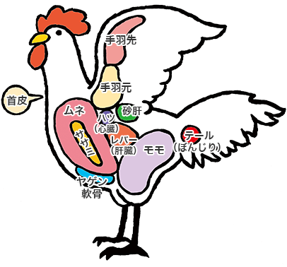鶏肉部位