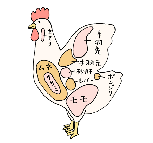 鶏肉部位