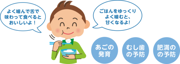 ダイエットのポイント。よく噛んで食べると太らない
