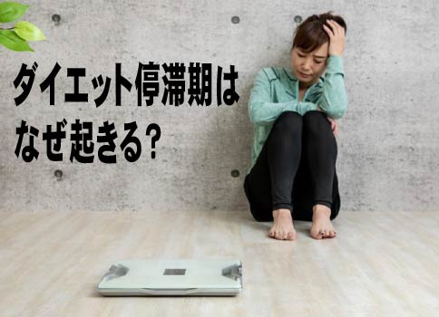 ダイエットの真実　ダイエット停滞期はなぜ起きる？
