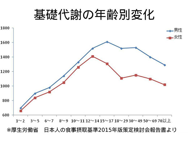 基礎代謝の年齢別変動