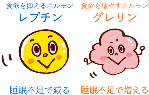 レプチンとグレリン