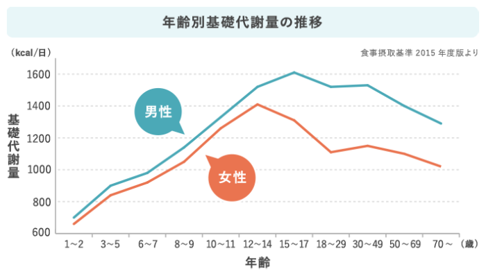 年令による基礎代謝量の変化