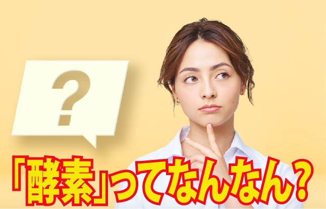 「酵素」ってなんなん？