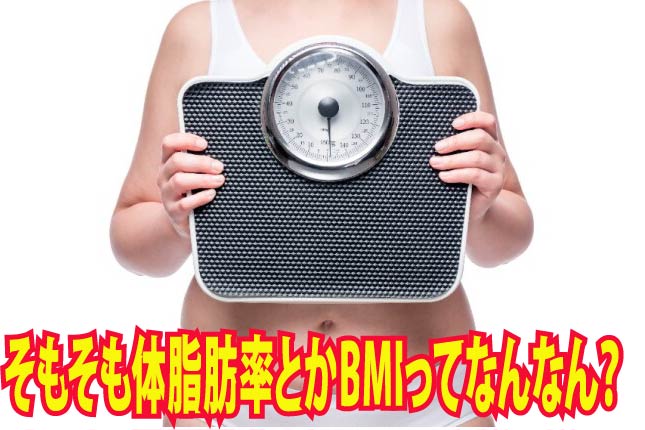 そもそも体脂肪率とかBMIってなんなん？