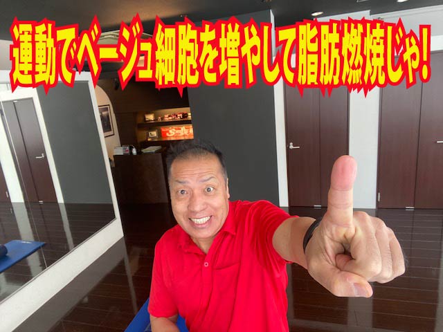 運動でベージュ細胞を増やして脂肪燃焼じゃ！