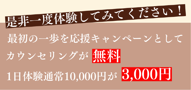 是非一度体験してください！