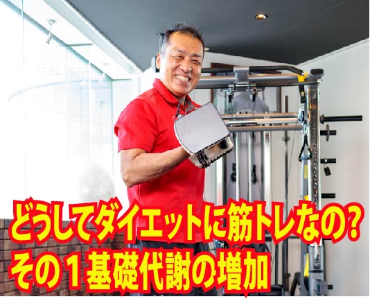 どうしてダイエットに筋トレなの？　その１基礎代謝の増加