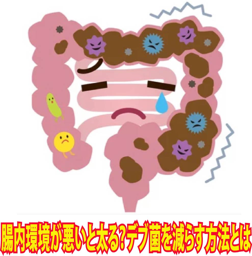 腸内環境が悪いと太る？デブ菌を減らす方法とは