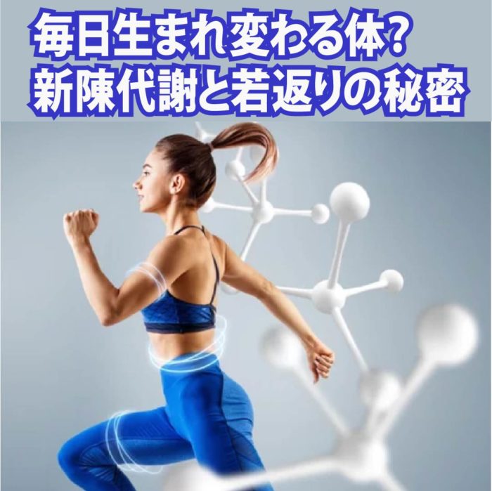 毎日生まれ変わる体？新陳代謝と若返りの秘密