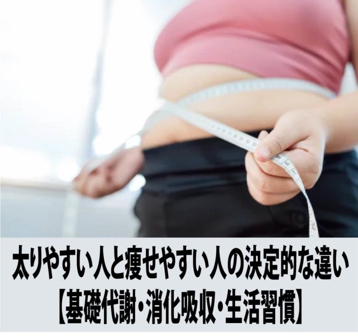太りやすい人と痩せやすい人の決定的な違い【基礎代謝・消化吸収・生活習慣】