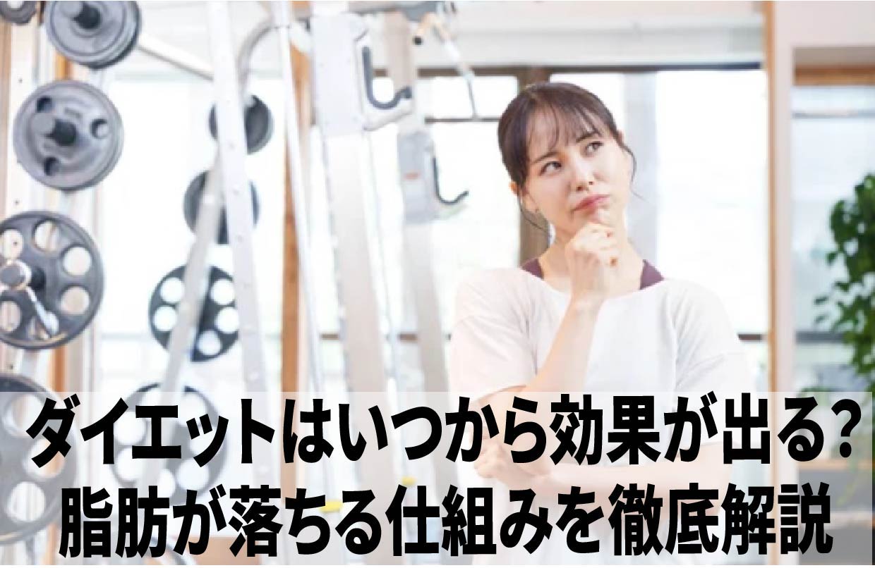 ダイエットはいつから効果が出る？脂肪が落ちる仕組みを徹底解説